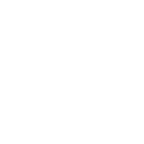 Automotive Display icon